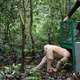 Alba, an albino Bornean orangutan, being released to the wild, on Wednesday December 19, 2018.